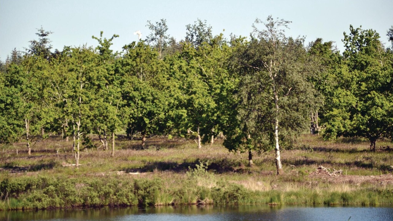 Photo of Others in Ertebølle