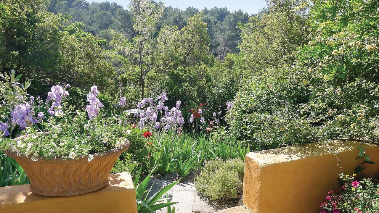Photo of Others in Les Baux-de-Provence