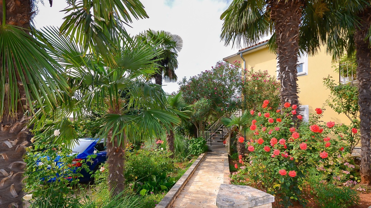 Photo of Outdoor in Umag