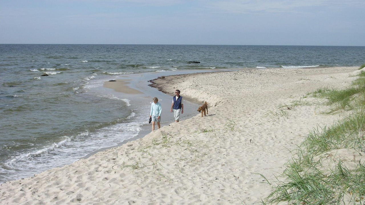 Photo of Others in Spidsegard