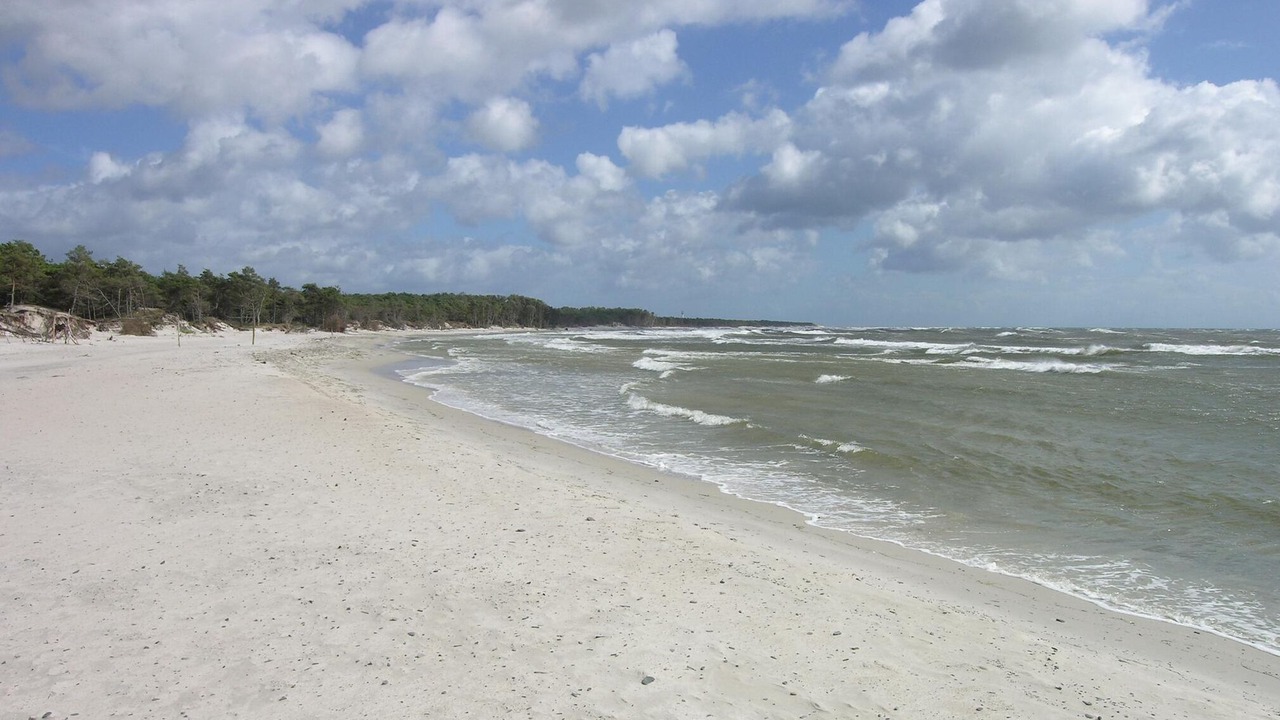 Photo of Others in Spidsegard