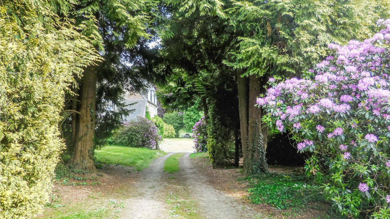 Photo of Others in Saint-Clement-Rancoudray