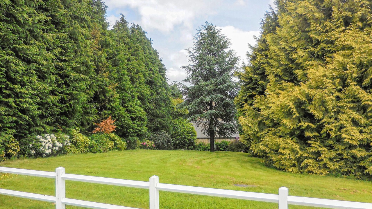 Photo of Others in Saint-Clement-Rancoudray