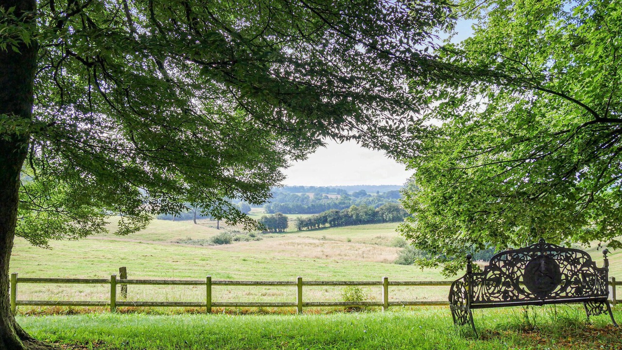 Photo of Others in Saint-Clement-Rancoudray