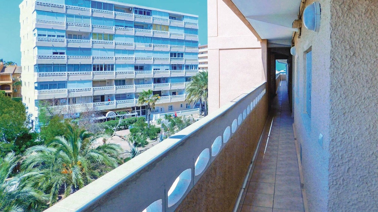 Photo of Others in La Mata