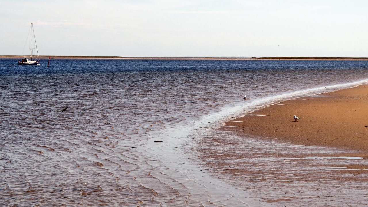 Photo of Others in Sødring