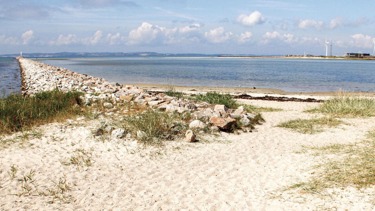 Photo of Others in Øer Strand