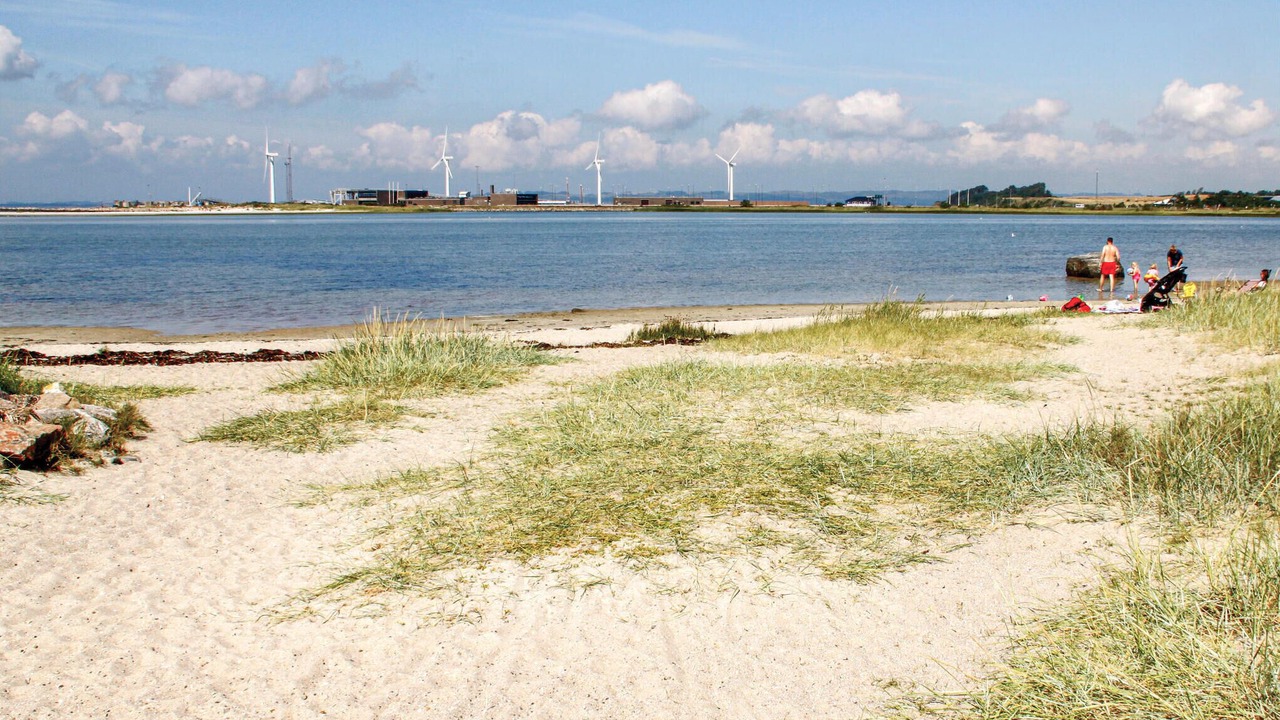 Photo of Others in Øer Strand