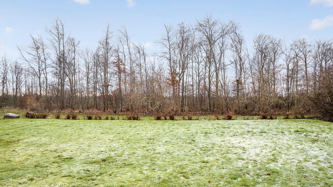 Photo of Others in Hasmark Strand