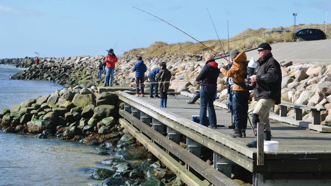 Photo of Others in Nørre Fjand