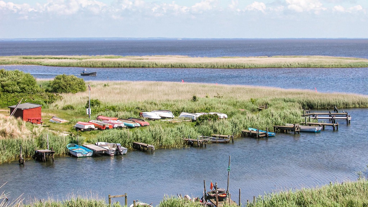 Photo of Others in Hvide Sande