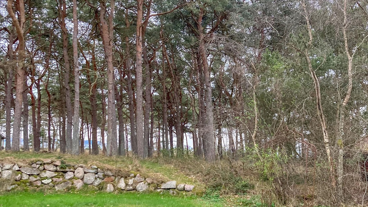 Photo of Others in Knebel