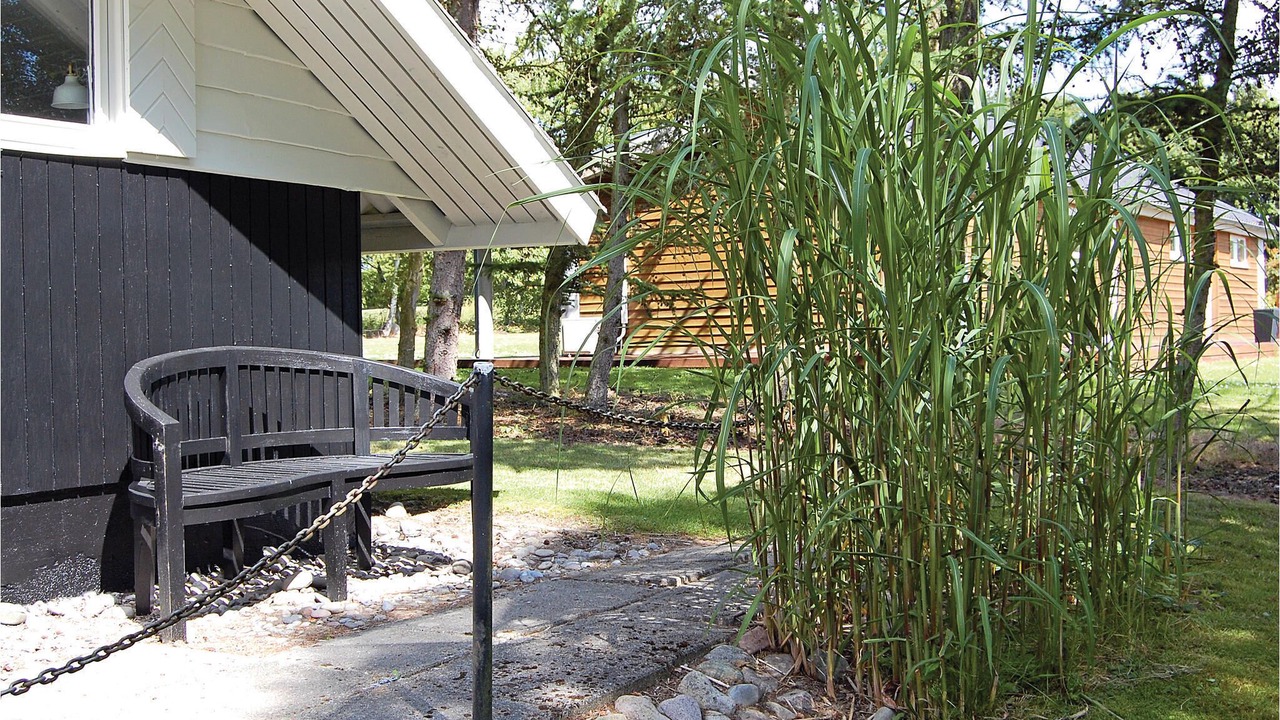 Photo of Others in Østerskov