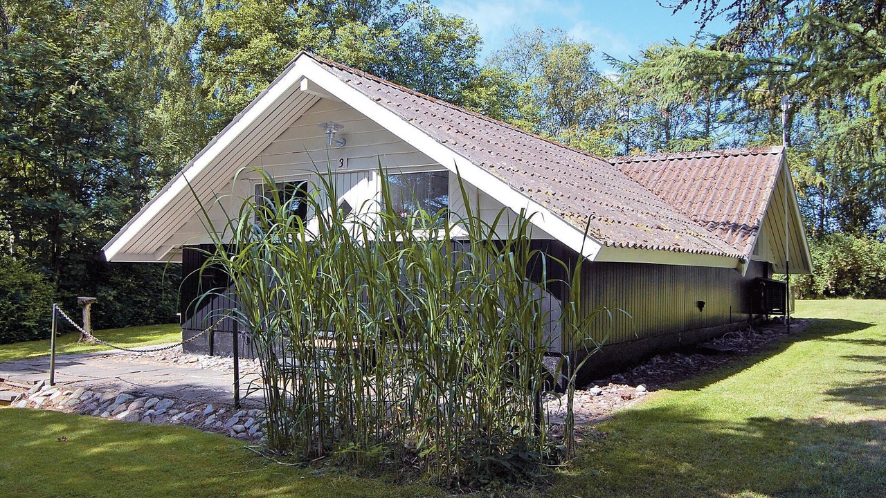 Photo of Others in Østerskov