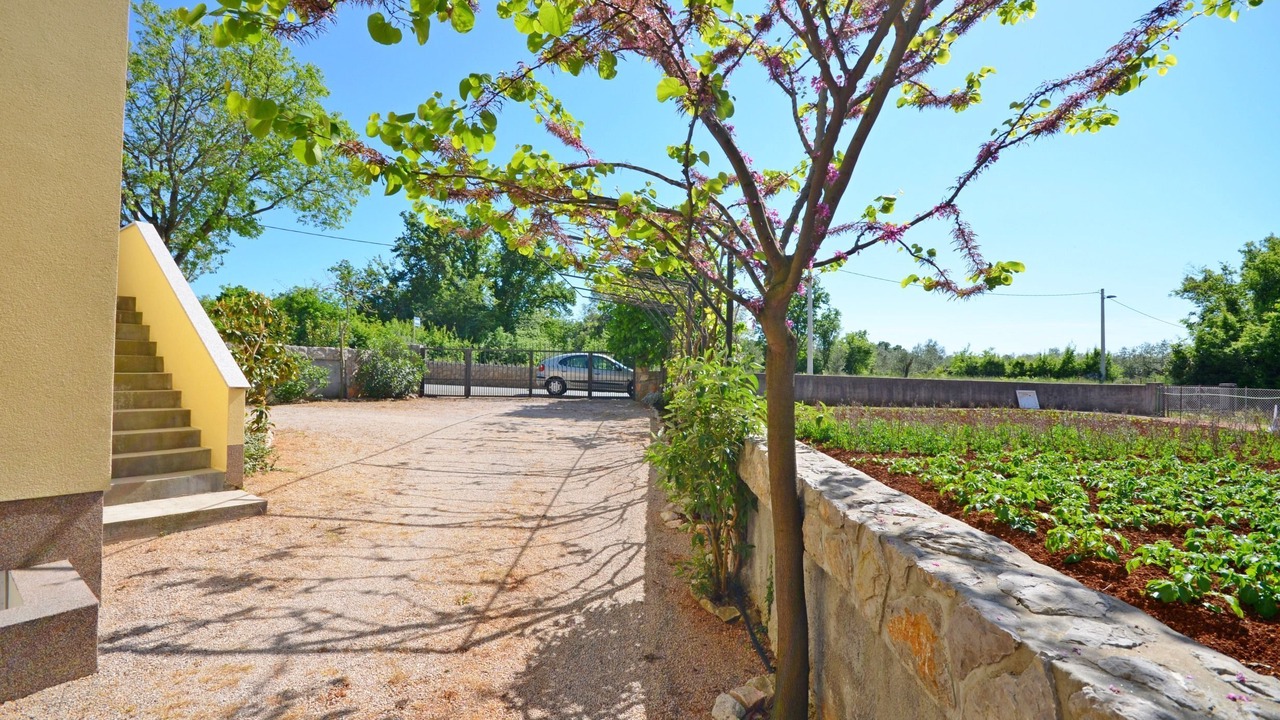 Photo of Outdoor in Zidarici