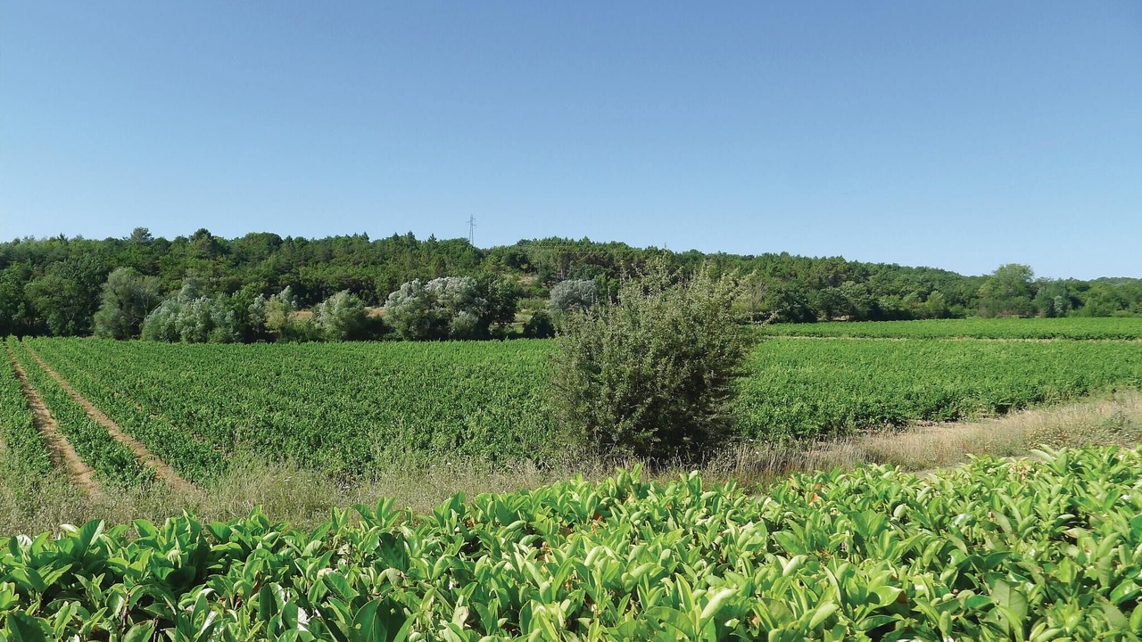 Photo of Others in Fontareches