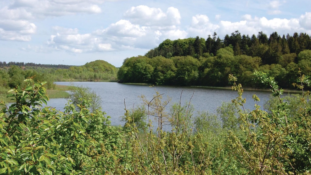 Photo of Others in Krejbjerg