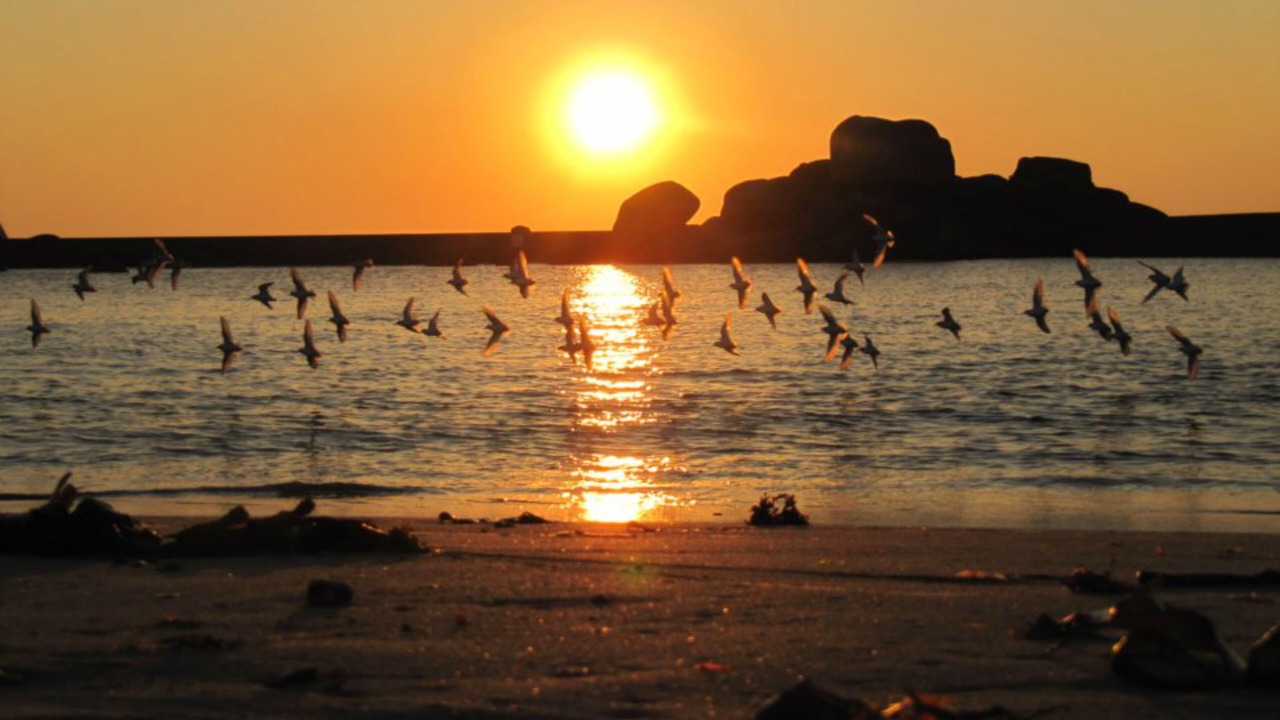 Photo of Others in Berven