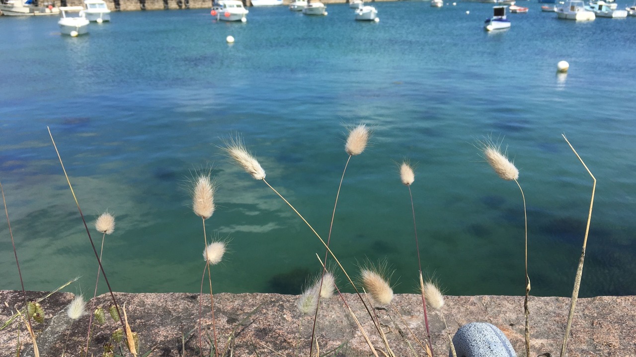 Photo of Others in Berven