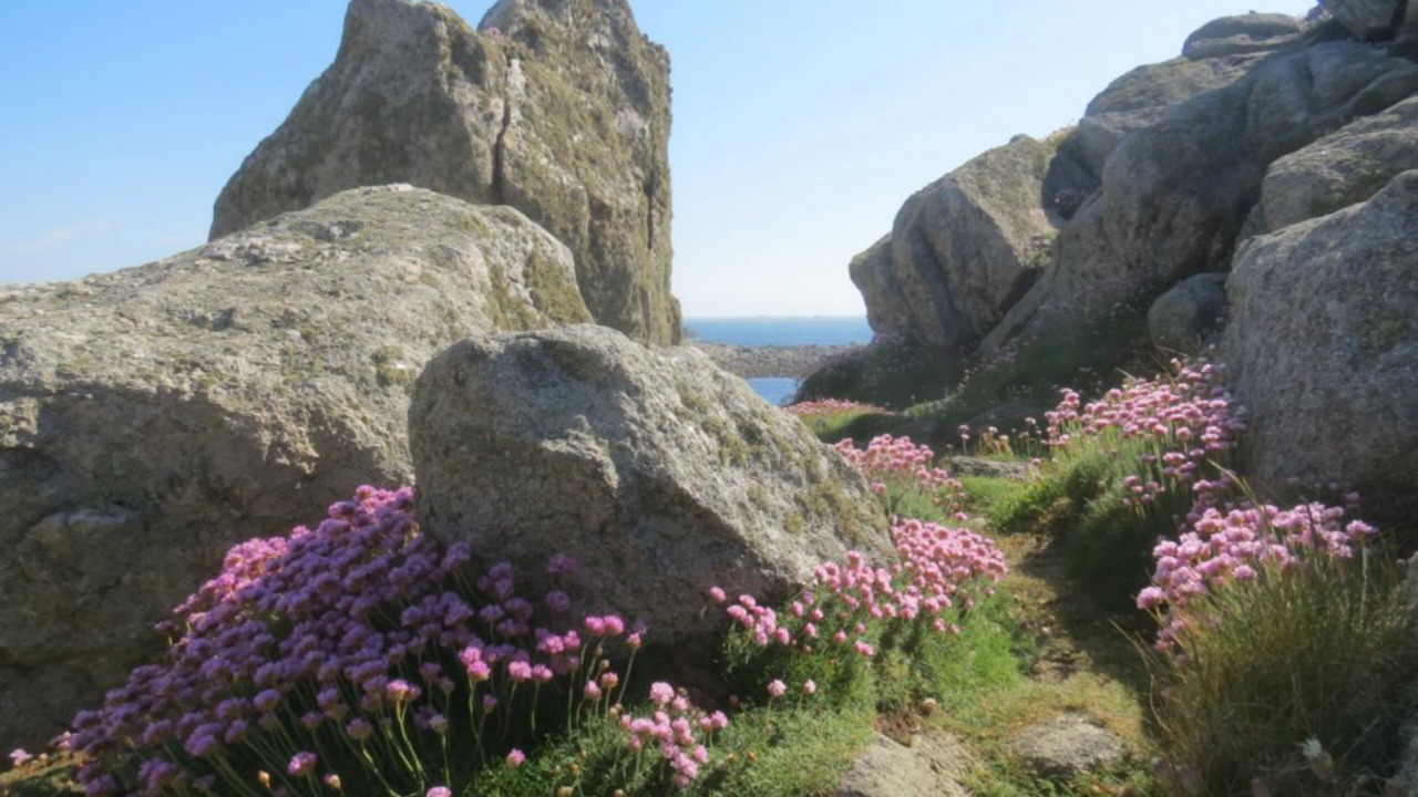 Photo of Outdoor in Berven