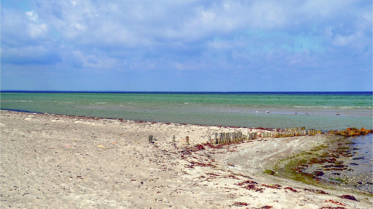 Photo of Others in Fjellerup Strand