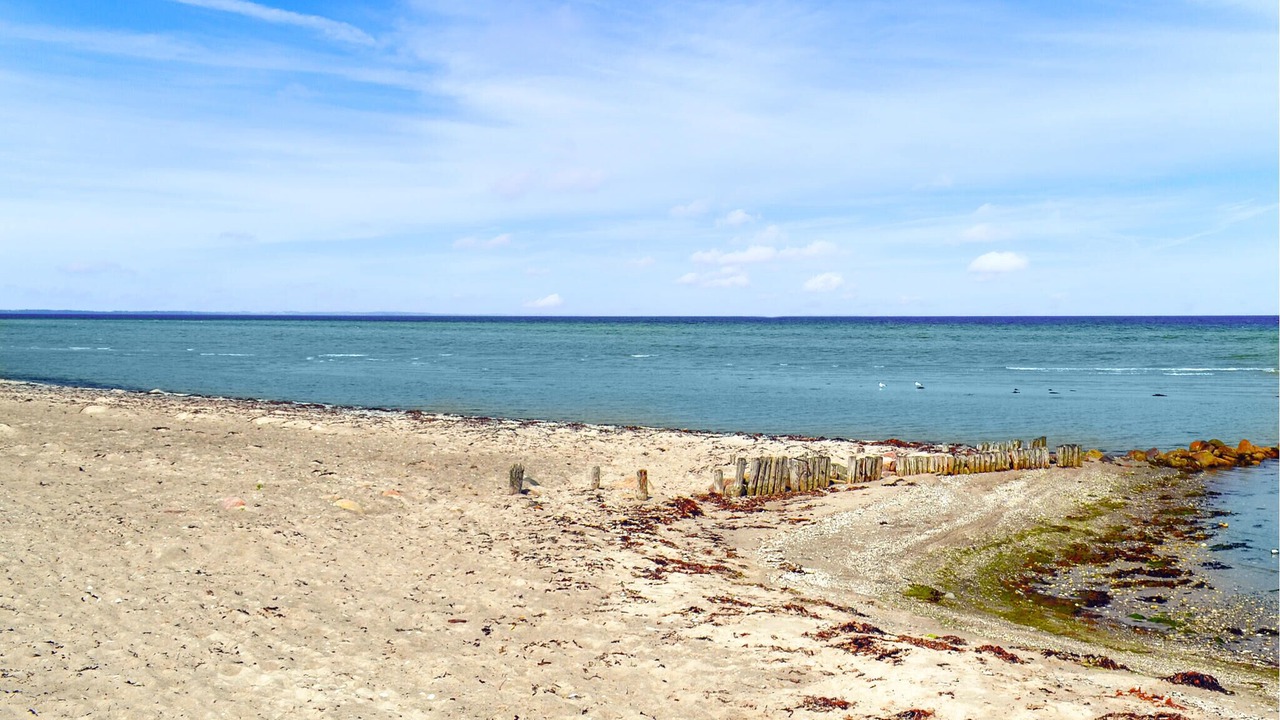 Photo of Others in Fjellerup Strand