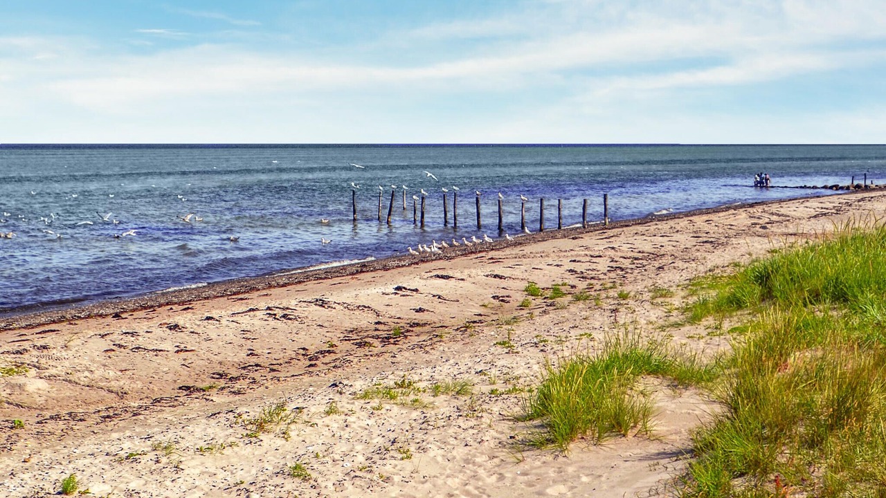 Photo of Others in Fjellerup Strand