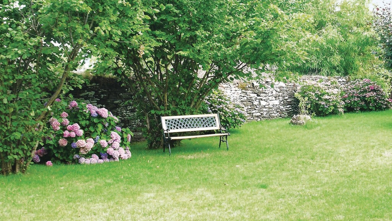 Photo of Others in Chateauneuf-du-Faou