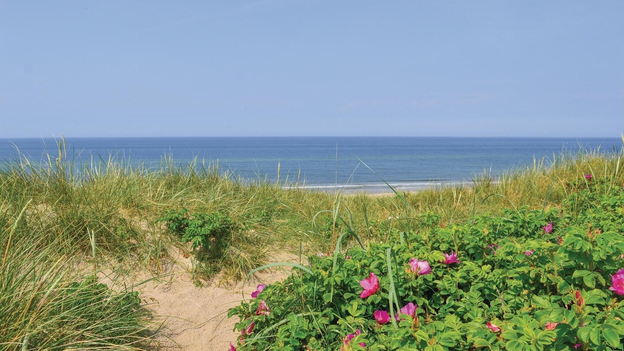 Photo of Others in Klegod Strand