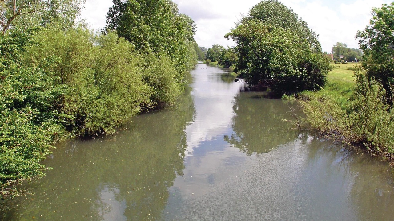 Photo of Others in Gouy-Saint-Andre