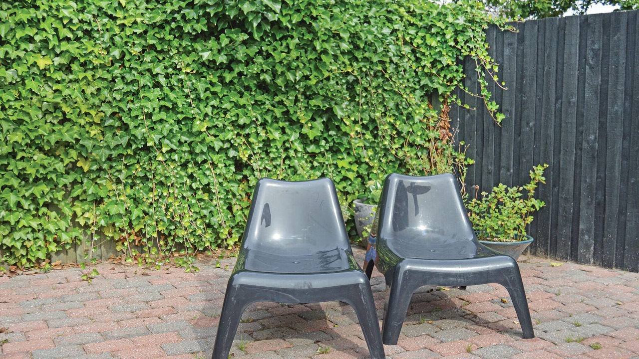 Photo of Others in Saksild Strand