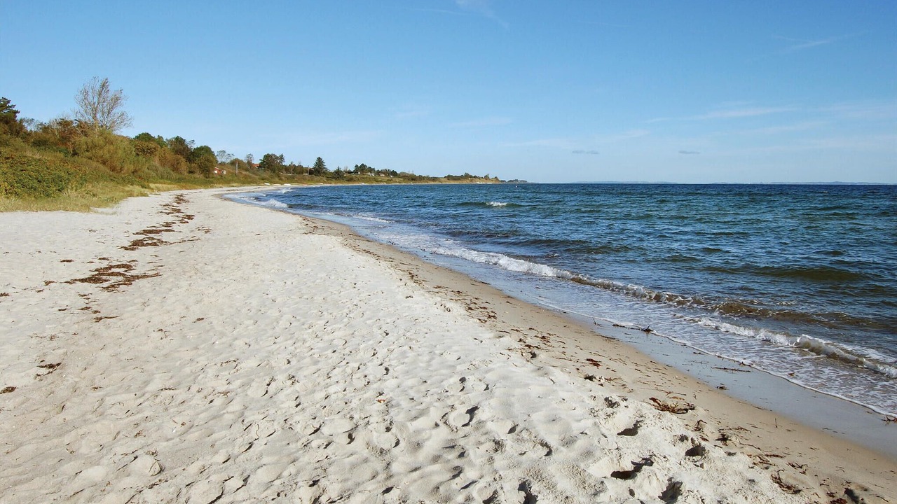 Photo of Others in Saksild Strand