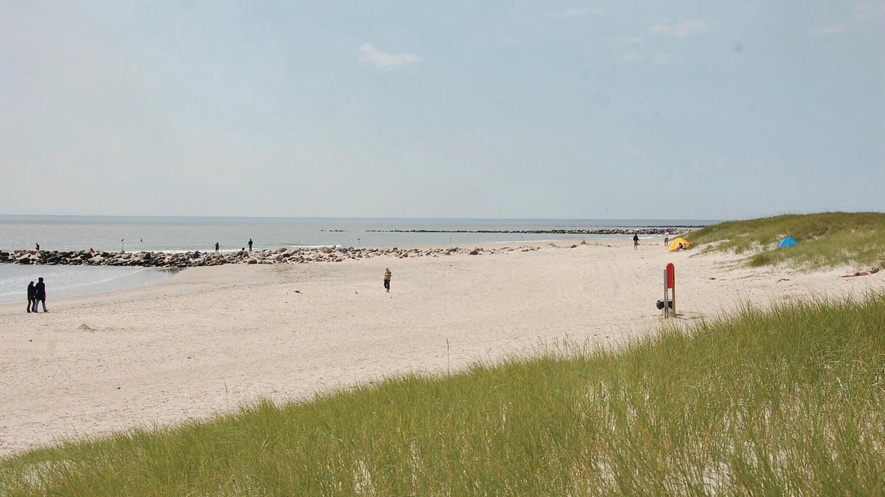 Photo of Others in Blavand Strand
