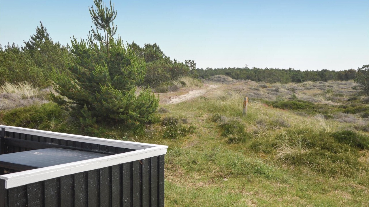 Photo of Others in Blavand Strand