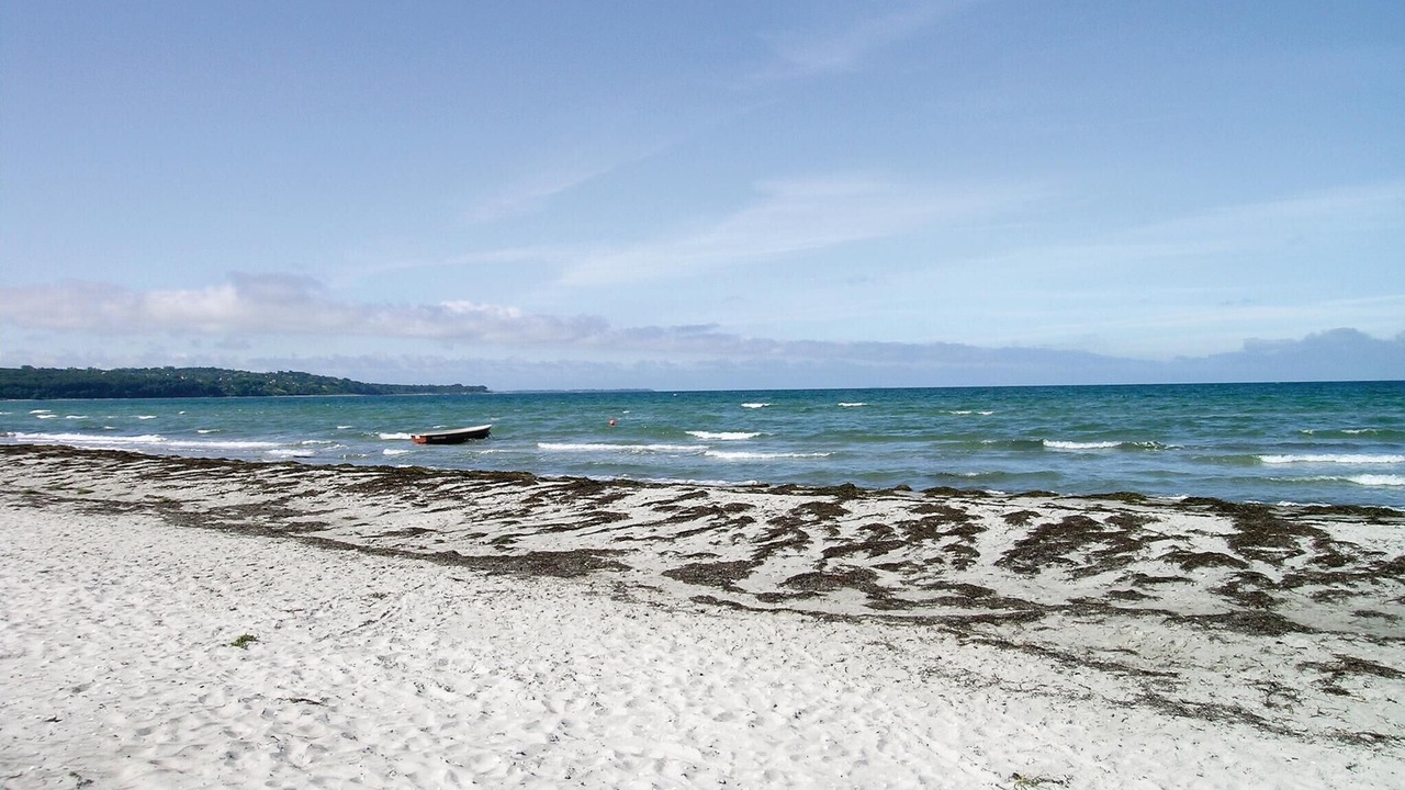 Photo of Others in Hoensinge