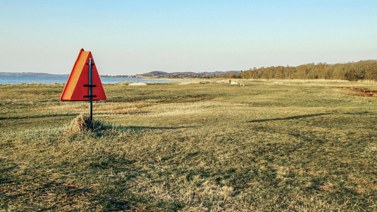 Photo of Others in Lyngsbæk Strand
