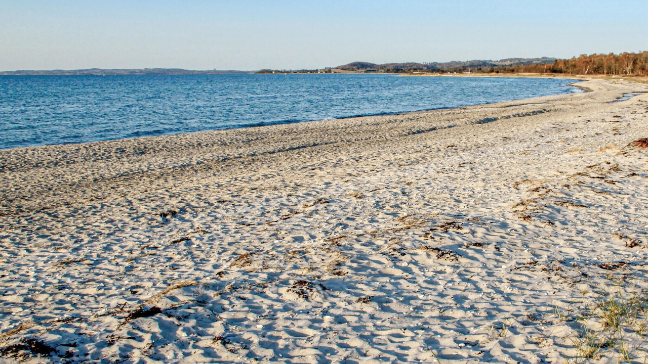 Photo of Others in Lyngsbæk Strand