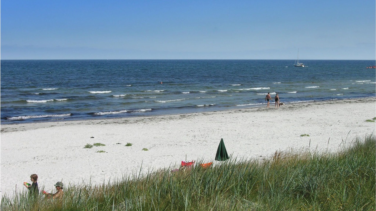 Photo of Others in Hasle