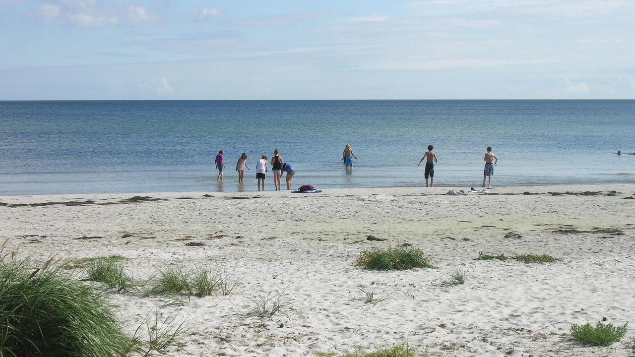 Photo of Others in Hasle