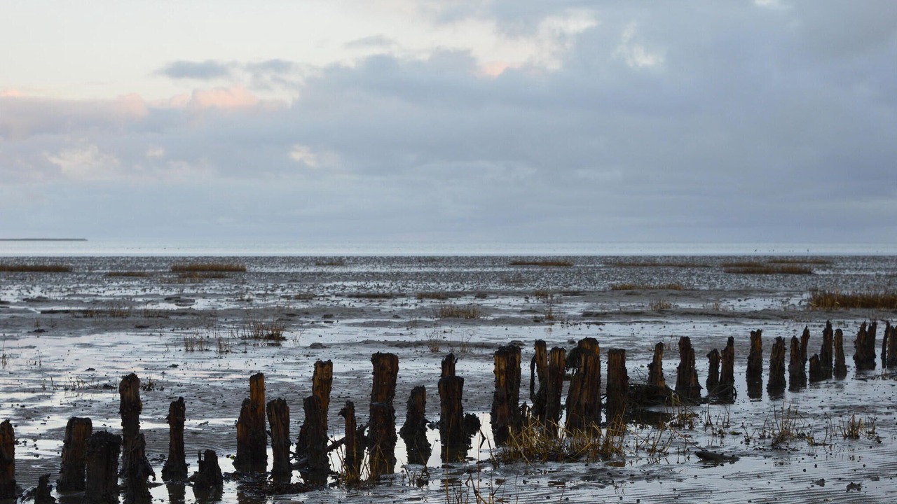 Photo of Others in Sønderstrand