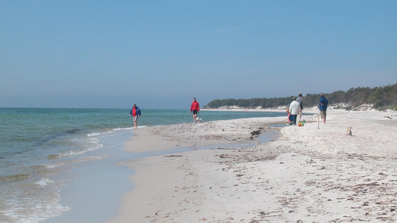 Photo of Others in Bedegaard