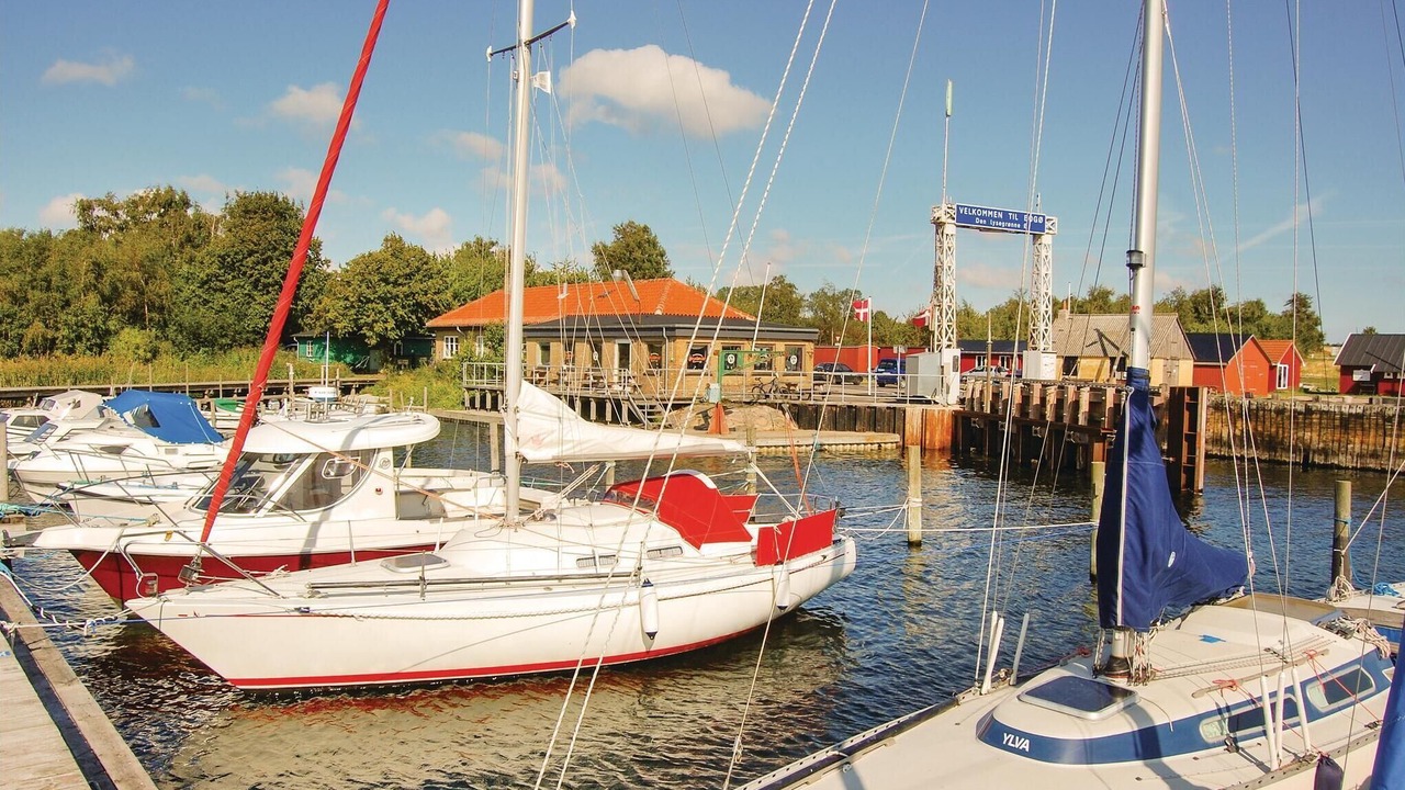 Photo of Others in Bog By