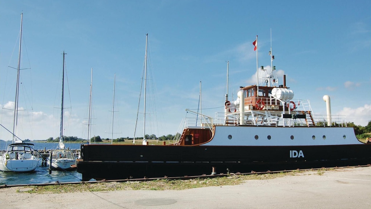 Photo of Others in Bog By