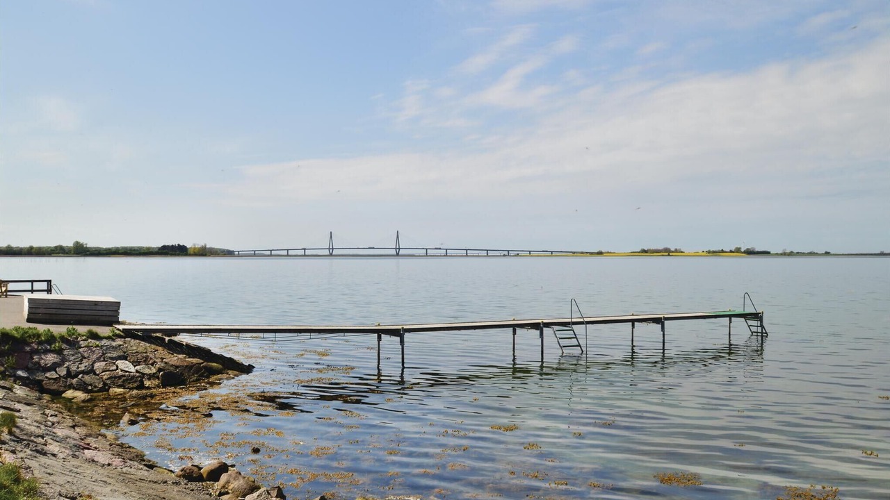 Photo of Others in Bog By