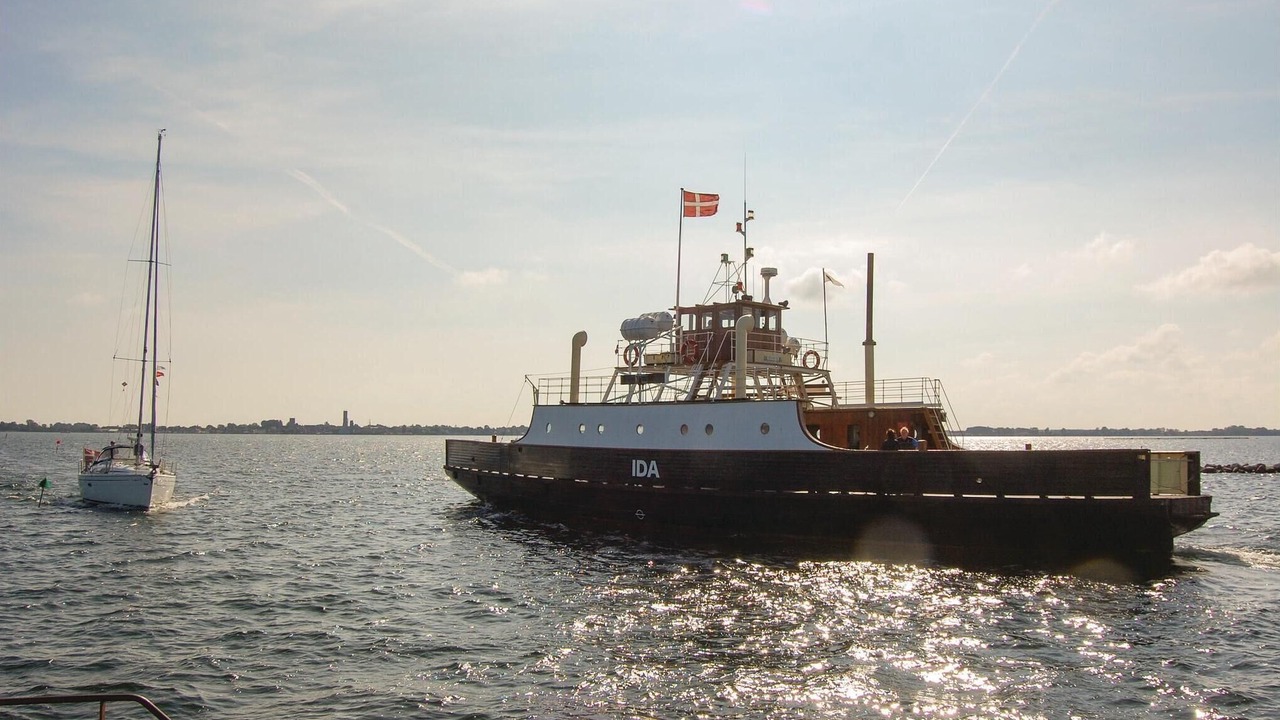 Photo of Others in Bog By