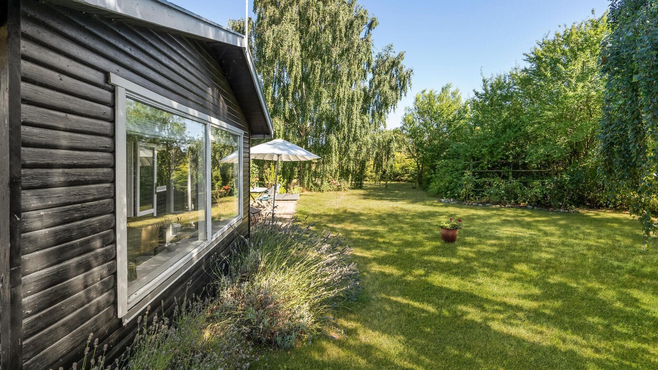 Photo of Others in Bog By