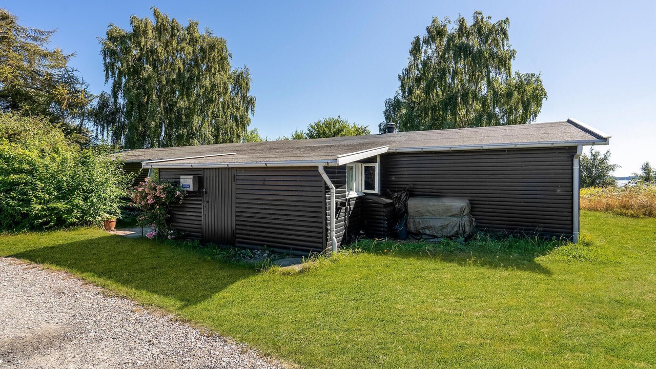 Photo of Others in Bog By