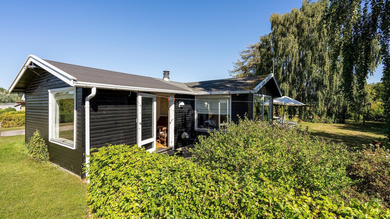 Photo of Others in Bog By