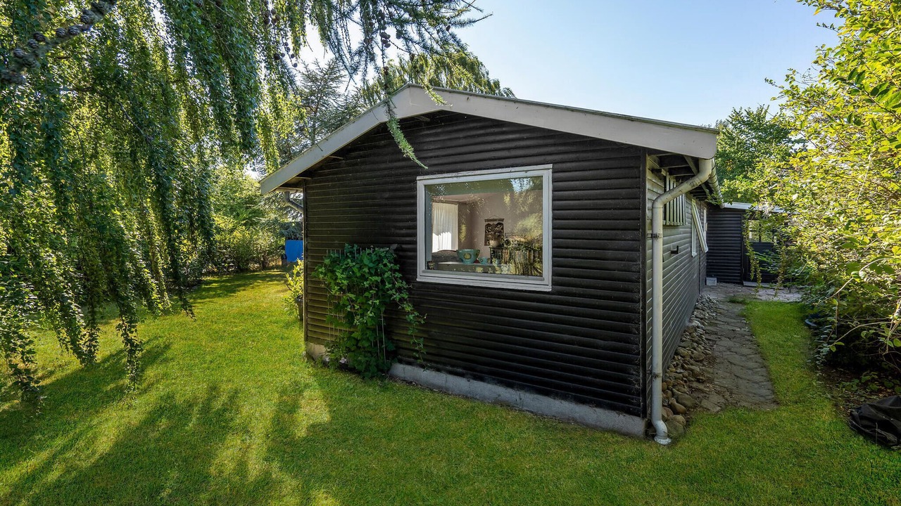 Photo of Others in Bog By