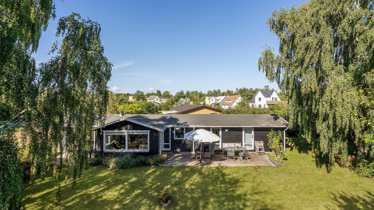 Photo of Others in Bog By